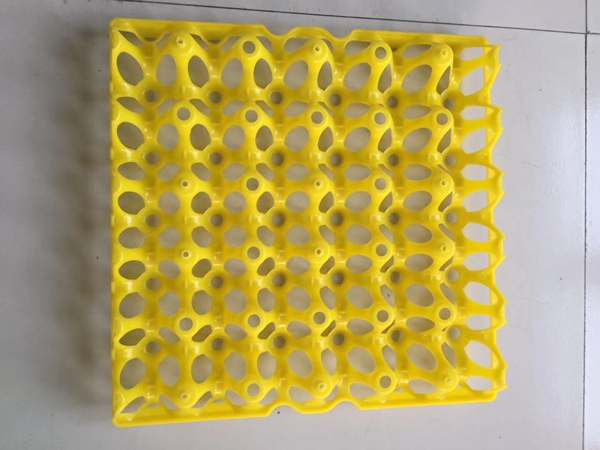 蛋筐